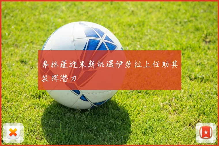 弗林蓬迎来新机遇伊劳拉上任助其发挥潜力
