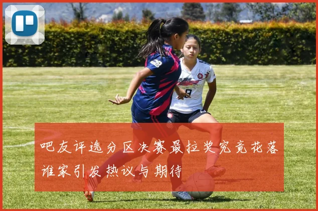吧友评选分区决赛最拉奖究竟花落谁家引发热议与期待